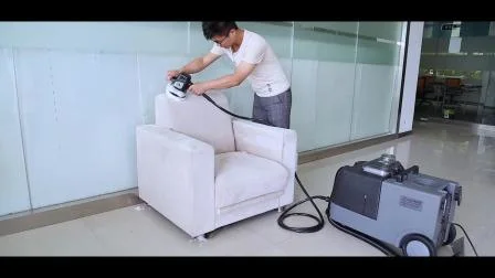 New Steam Small Carpet Vacuum Cleaner Steam Household Cleaning Machine Sofa Cleaning Machine