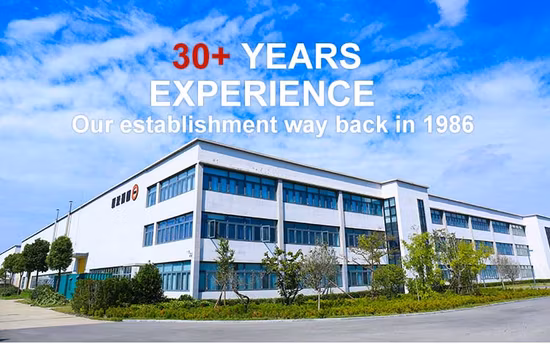 Jiangsu Yancheng Diesel Grh Neutral Package/Wooden Pallet Cleaning Machine Snow Removal