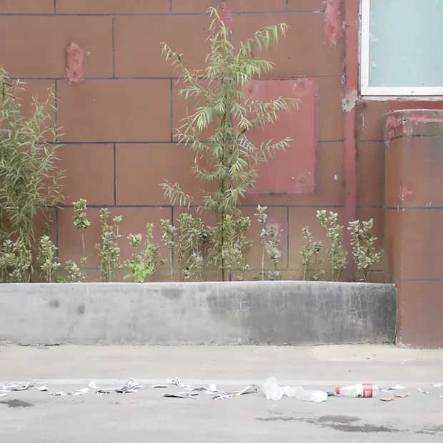 Unpowered Hand Push Manual Floor Sweeper